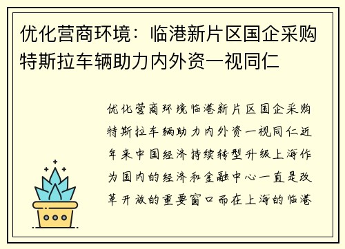优化营商环境：临港新片区国企采购特斯拉车辆助力内外资一视同仁