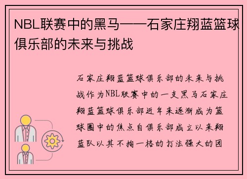 NBL联赛中的黑马——石家庄翔蓝篮球俱乐部的未来与挑战